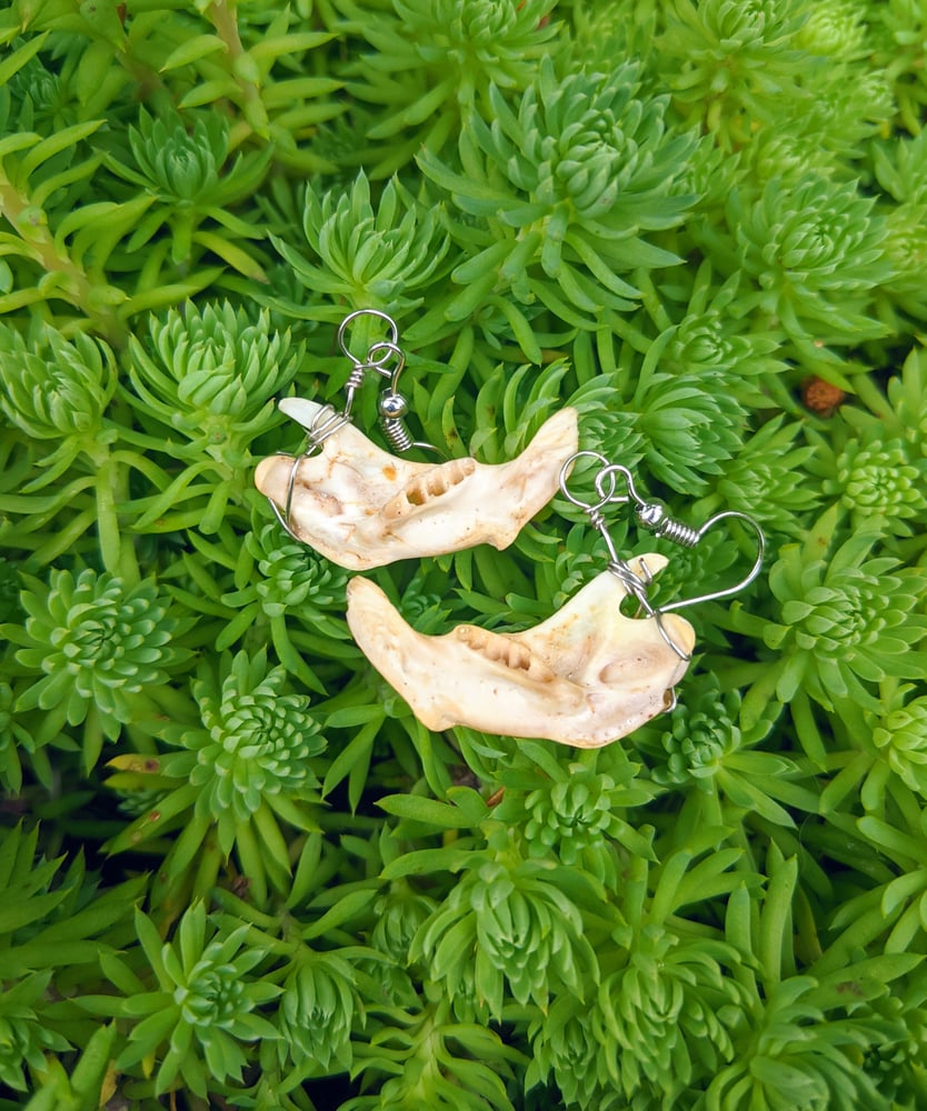 Image of Tiny Jawbone Earrings