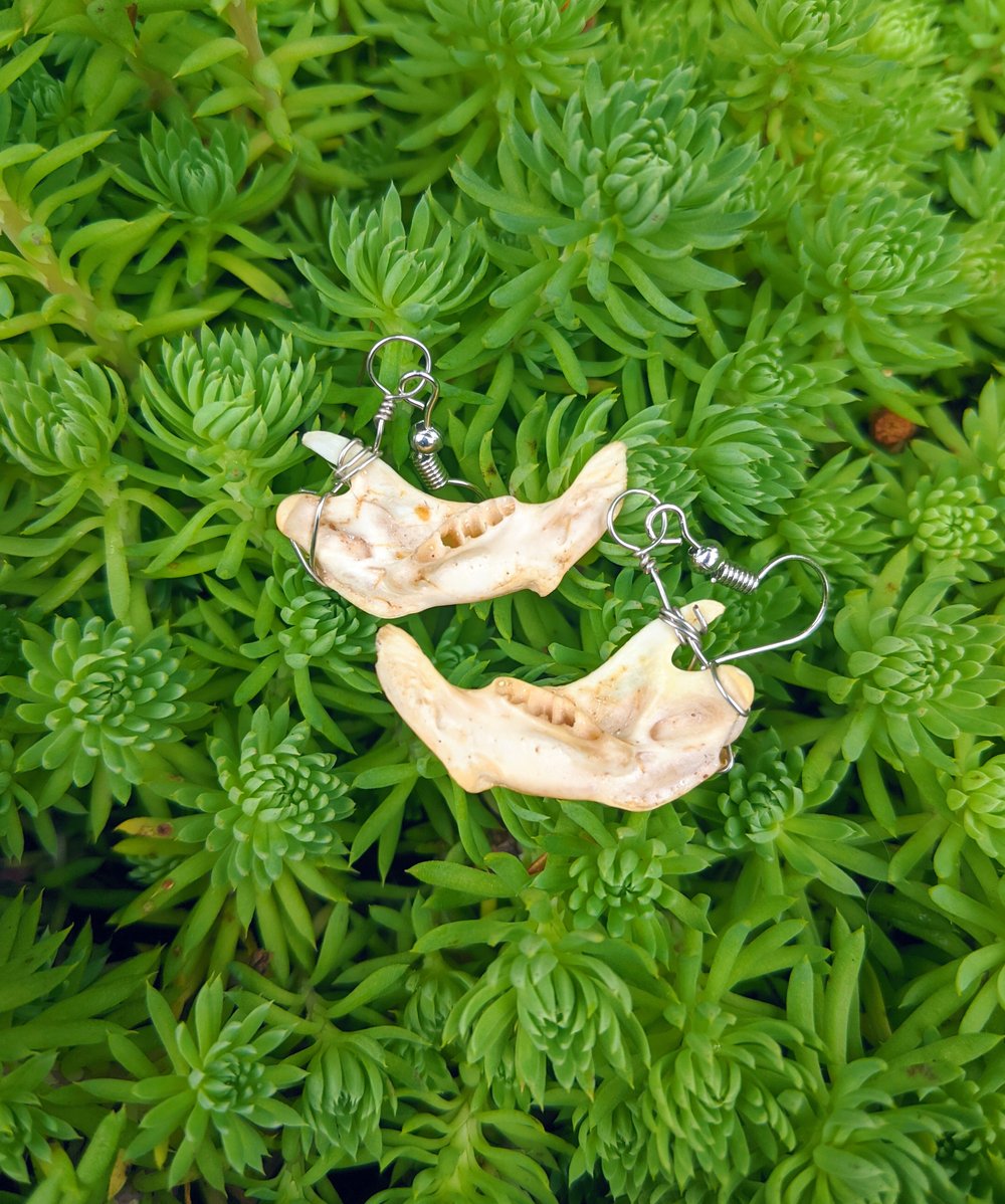 Image of Tiny Jawbone Earrings