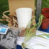 Grow Your Own Spider Plant Kit