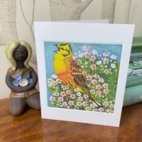 ‘May Blossom’ card