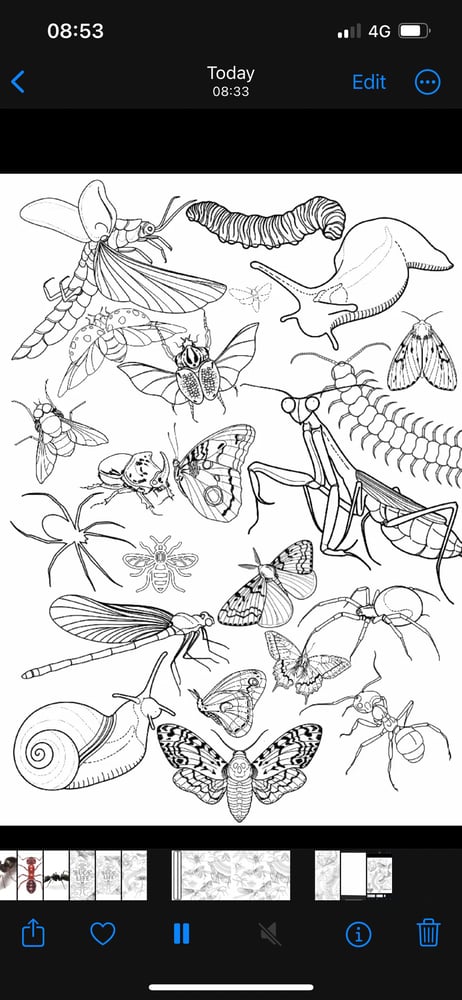 Image of ‘BUGS’ LIFE Tattoo Stamps and Shapes (177)