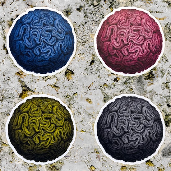 Image of Haeckel Brain Stone CMYK Sticker Set