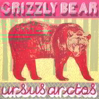 GRIZZLY BEAR
