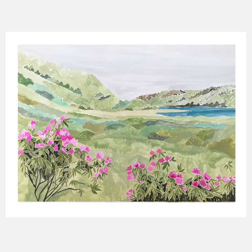 Image of Isle of Mull