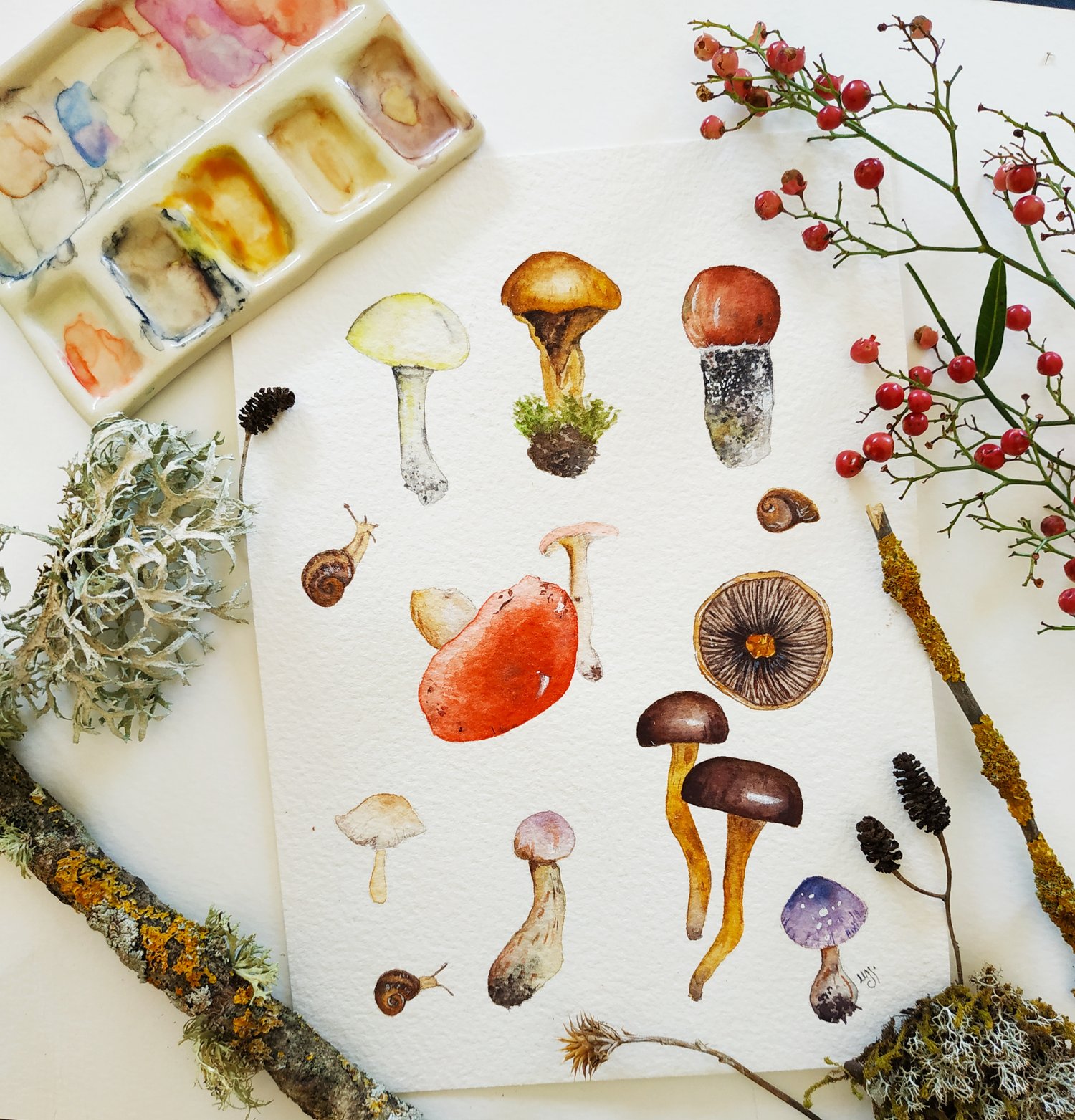 Image of Original mushroom illustration | Natural history illustration | Woodlands plants | Farmhouse decor |
