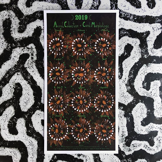 Image of Animal Collective + Coral Morphologic 2019 Lunar Phase Poster