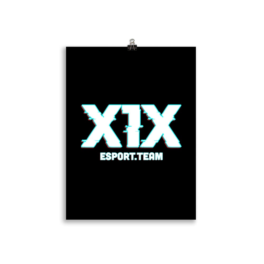 Image of X1X Matte Paper Poster LIMITED EDITION