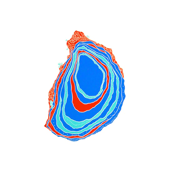 Image of CLOSED OYSTER
