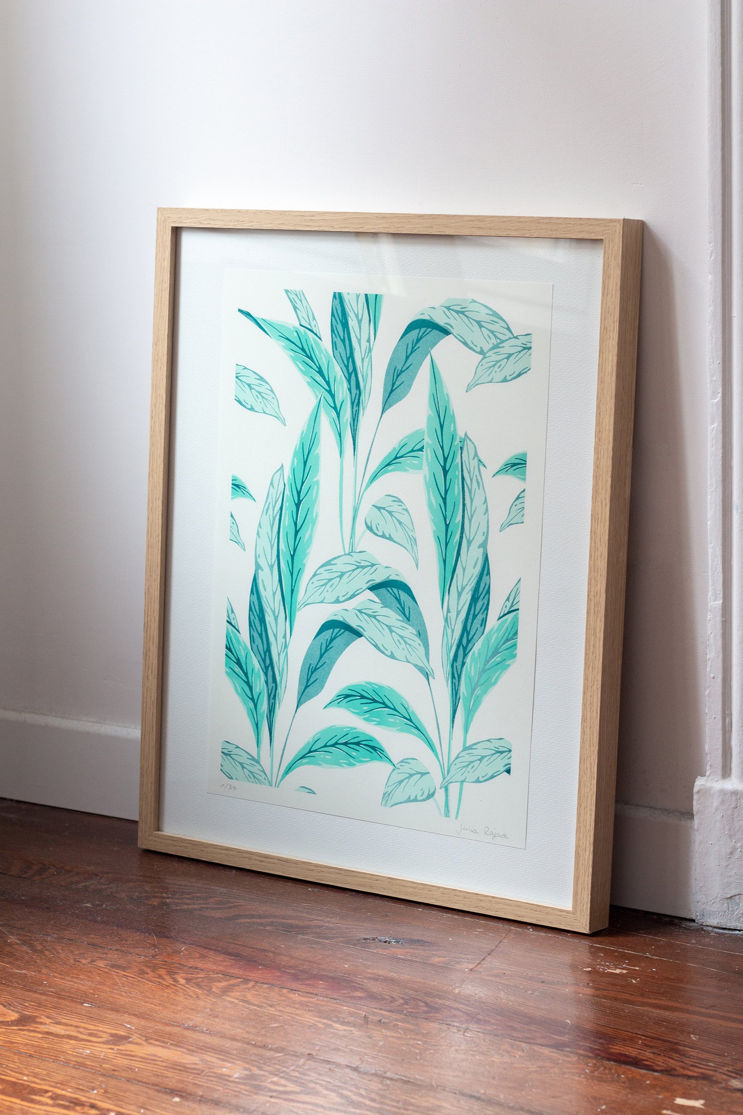 Affiche Dieffenbachia