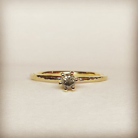 Beeld van Elegant solitaire