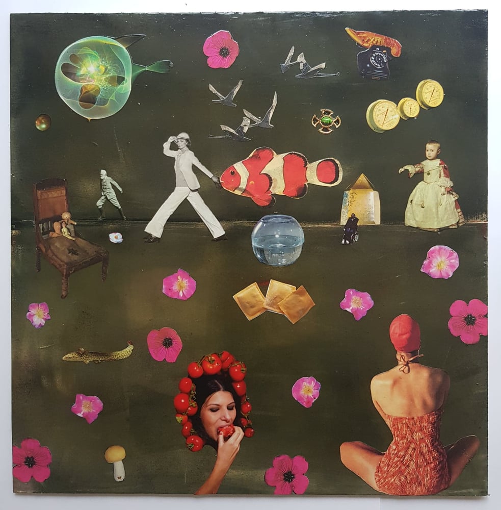 Image of WALKING THE FISH