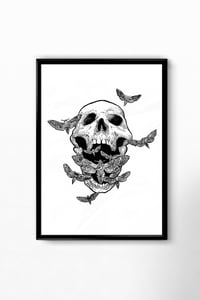 "Moth Scream" - SIGNED PRINT