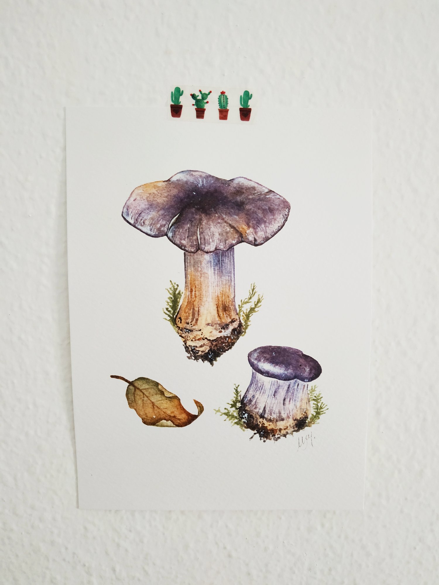 Image of Cortinarius Violaceous Watercolor Illustration, Mushroom Painting, ORIGINAL ILLUSTRATION