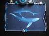 Midnight Blues Dancing Blue Sharks Fine Art Print