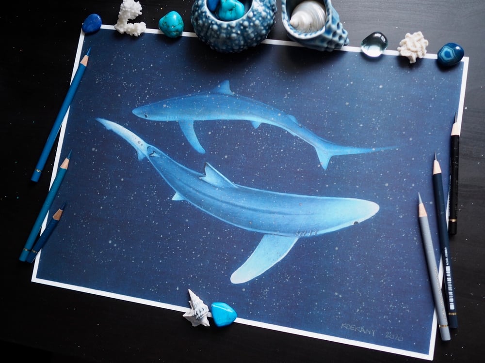 Image of Midnight Blues Dancing Blue Sharks Fine Art Print
