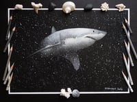 Image 1 of Great White Shark Fine Art Print