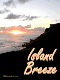 Image 2 of Island Breeze