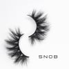 Snob