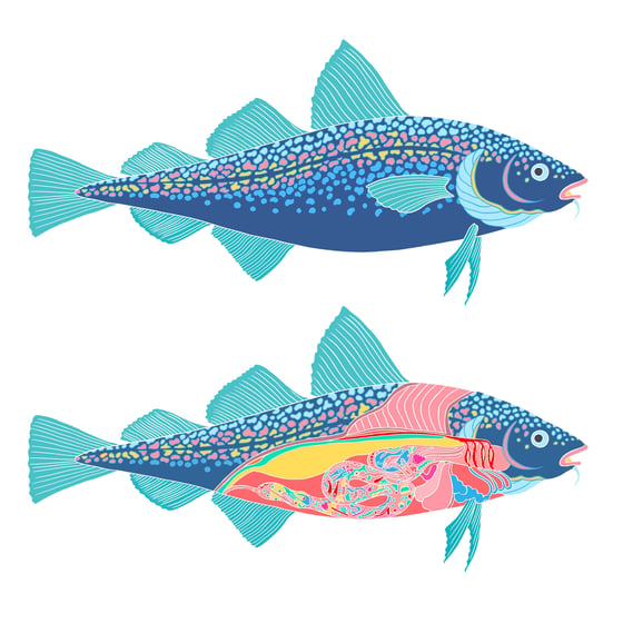 Image of Morue étude | Codfish Study 