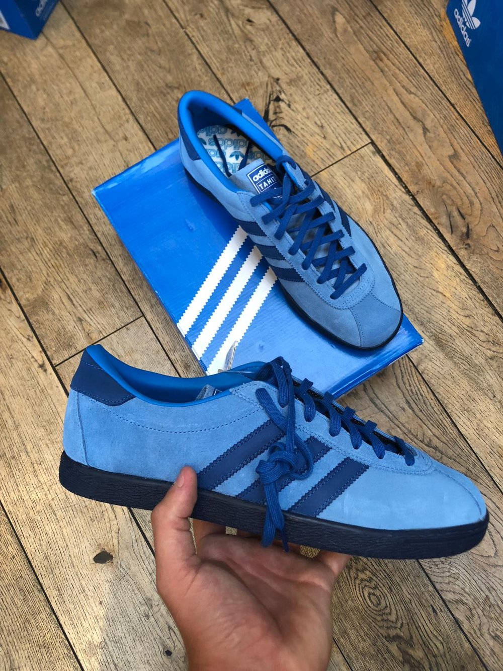 Adidas hotsell tahiti blue