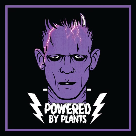 Image of Purple Frank