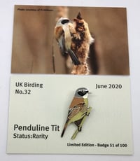 Image 1 of Penduline Tit - June 2020 