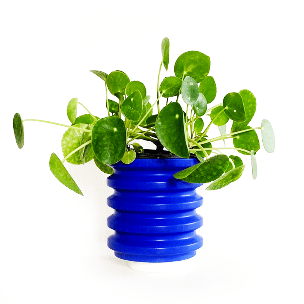 Image of Block Planter