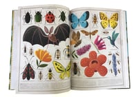 Image 2 of Mέλισσες