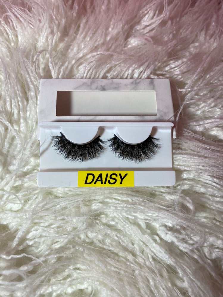 Image of DAISY 