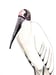 Image of Wood stork bird at the ranch, Nature-Inspired watercolor artwork