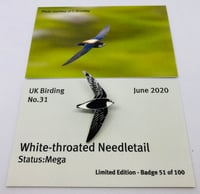 Image 1 of White throated Needletail - June 2020