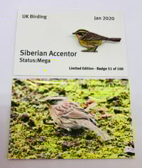 Image 1 of Siberian Accentor - Jan 2020