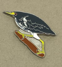 Image 2 of Dwarf Bittern - Feb 2020 - Bird Pin Badge Group