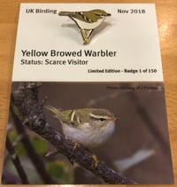 Yellow Browed Warbler - Nov 2018
