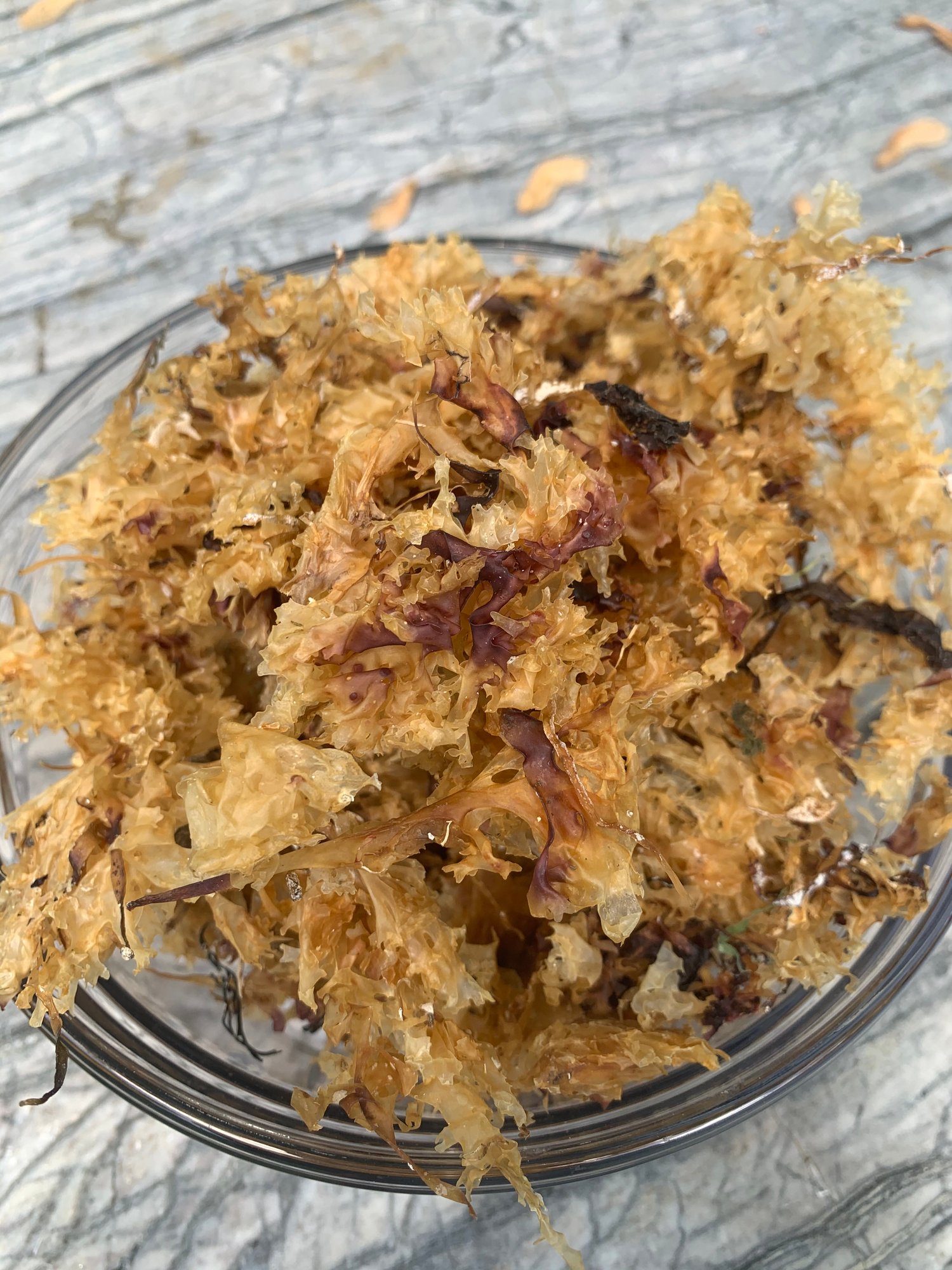 Image of IRISH MOSS Whole carrageenan (chondrus crispus) 