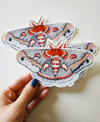 Image 3 of Cecropia Moth XL Bumper sticker, Waterproof and Scratch resistant.