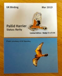 Image 1 of Pallid Harrier - No.7 - UK Birding Series