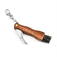 Folding knife with brush 