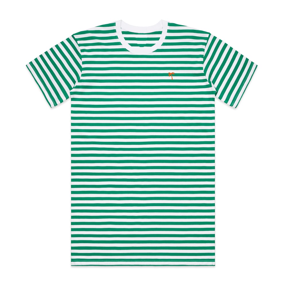 pretty green stripe t shirt