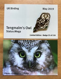 Image 1 of Tengmalm’s Owl - No.9 - UK Birding Series