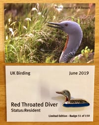 Red Throated Diver - June 2019