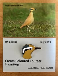 Image 1 of Cream Coloured Courser - July 2019
