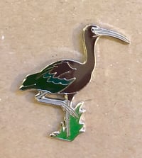 Image 2 of Glossy Ibis - Feb 2019 - Bird Pin Badge Group