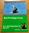 White Winged Black Tern - May 2019 - Bird Pin Badge Group