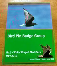Image 1 of White Winged Black Tern - No.3 - Bird Pin Badge Group Series