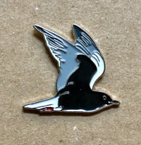 Image 2 of White Winged Black Tern - May 2019 - Bird Pin Badge Group