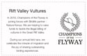 Champions Of The Flyway 2019 Fundraising Badge
