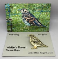 Image 1 of White’s Thrush - No.17 - UK Birding Pin Series