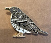 Image 2 of White’s Thrush - No.17 - UK Birding Pin Series