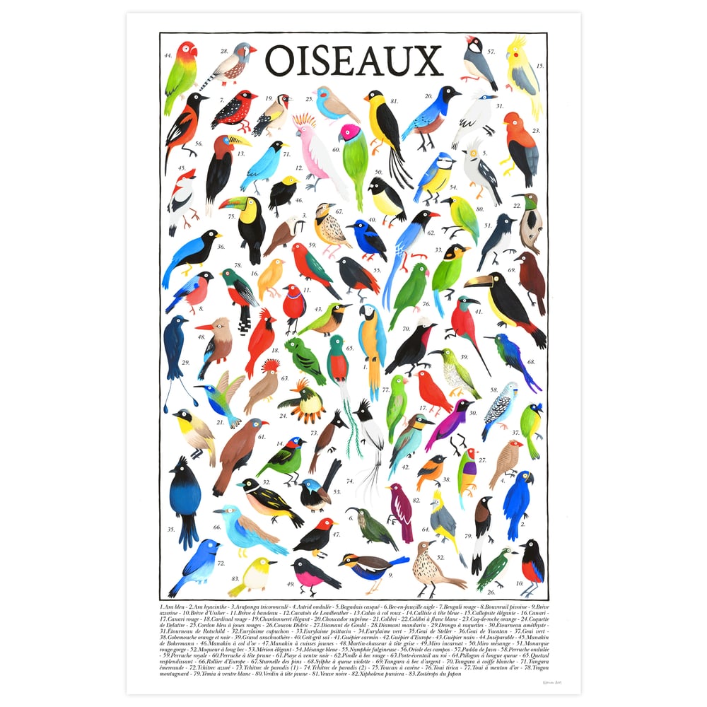 Image of Oiseaux